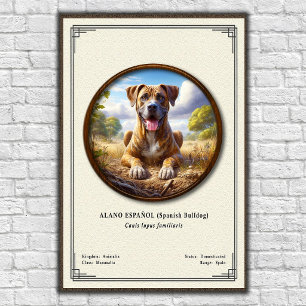 Spanischer Bulldogge (Alano Español) Zoologie-Seri Poster