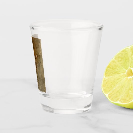 Spanischer Cowboy und Banjo Playing Trail Song Schnapsglas (Rechts)