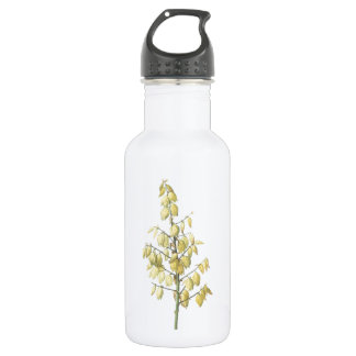 Spanischer Dagger (Yucca gloriosa) von Redouté Trinkflasche