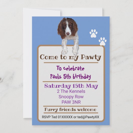 Spanischer Hund König Charles Springer Einladung (Vorderseite)