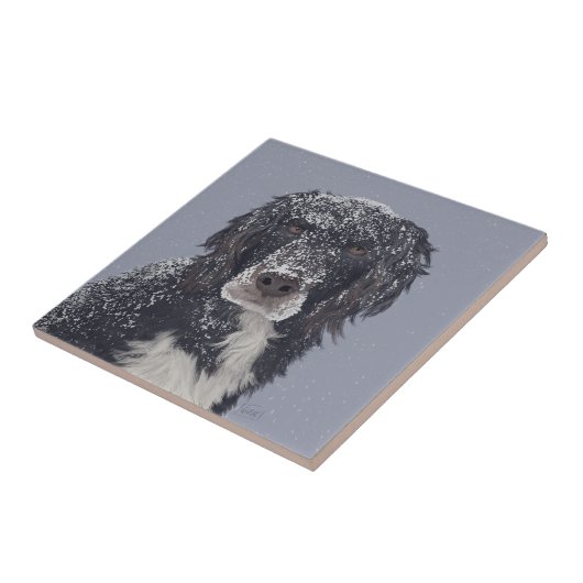 Spanischer Hundemix Fliese (Seite)