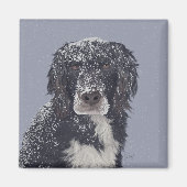 Spanischer Hundemix Magnet (Vorne)