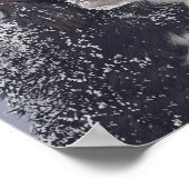 Spanischer Hundemix Poster (Ecke)