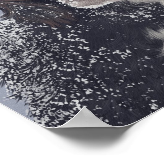 Spanischer Hundemix Poster (Ecke)