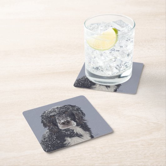 Spanischer Hundemix Rechteckiger Pappuntersetzer (Vor Ort)