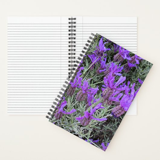 Spanischer Lavender Blooms floral Notizblock (Innen)