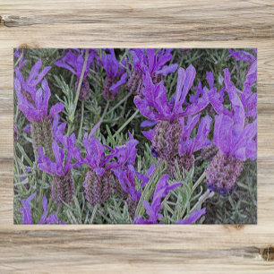 Spanischer Lavender Blooms floral Schneidebrett