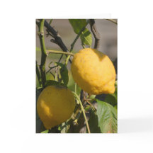 Spanischer Lemon auf den Baum Grußkarten