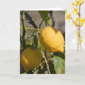 Spanischer Lemon auf den Baum Grußkarten Karte (Gelbe Blume)