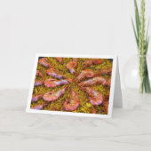 Spanischer Meeresfrüchtegericht Karte (Vorderseite)