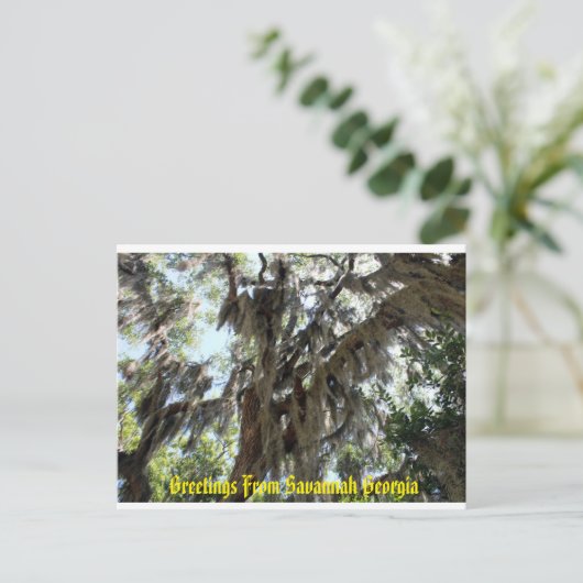 Spanischer Moos Alter Süden Postkarte (Stehend Vorderseite)