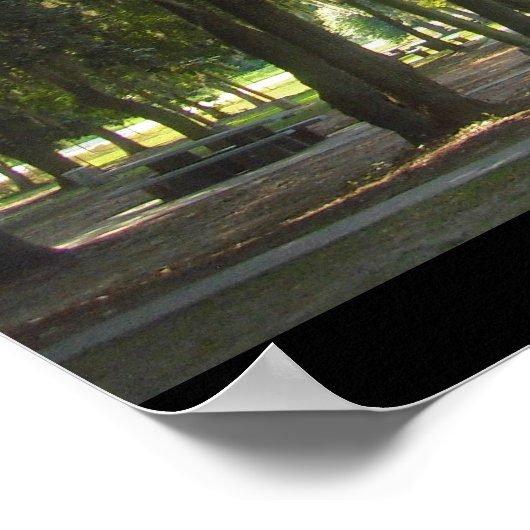 Spanischer Moos in Georgien Poster (Ecke)