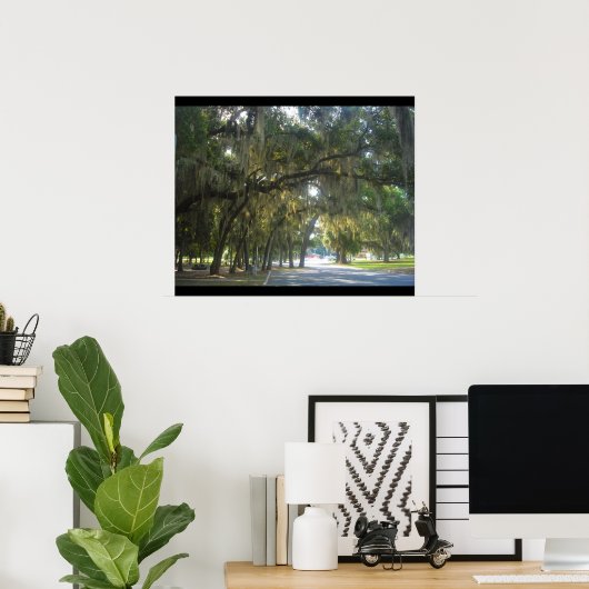 Spanischer Moos in Georgien Poster (Heimbüro)