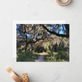 Spanischer Moos Mitteilungskarte (Vorderseite/Rückseite Beispiel)