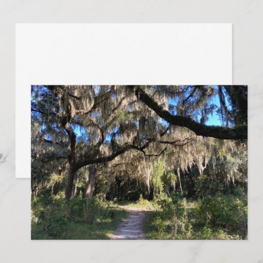 Spanischer Moos Mitteilungskarte (Vorne/Hinten)