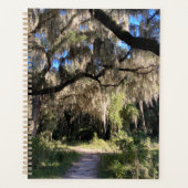 Spanischer Moos Planer (Vorderseite)