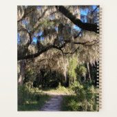 Spanischer Moos Planer (Rückseite)