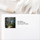 Spanischer Moosweg (Insitu)