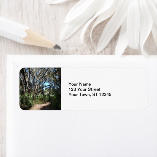 Spanischer Moosweg (Insitu)