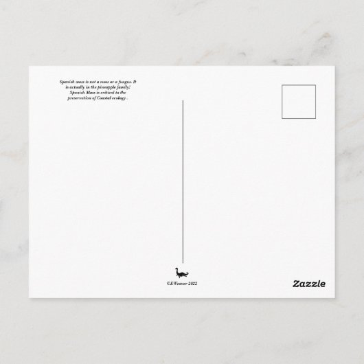 Spanischer Moss Old South Postkarte (Rückseite)