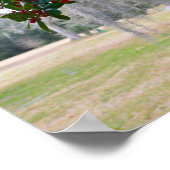 Spanischer Moss und amerikanischer Holly Poster (Ecke)