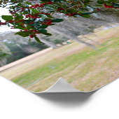 Spanischer Moss und amerikanischer Holly Poster (Ecke)