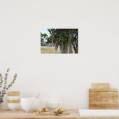 Spanischer Moss und amerikanischer Holly Poster (Küche)