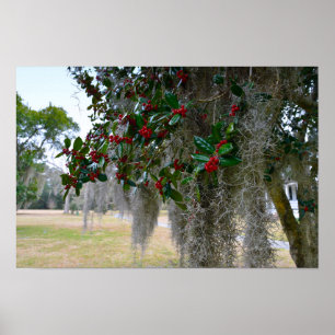 Spanischer Moss und amerikanischer Holly Poster