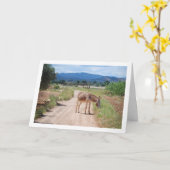 Spanischer Mule auf der Landstraße Karte (Gelbe Blume)