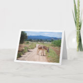 Spanischer Mule auf der Landstraße Karte (Vorderseite)