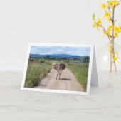 Spanischer Mule auf der Landstraße Karte (Gelbe Blume)