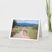 Spanischer Muschel auf der Landstraße Karte (Vorderseite)