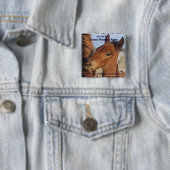 Spanischer Mustang Foal Button (Beispiel)