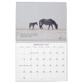 Spanischer Mustang-Kalender Kalender (Feb 2027)