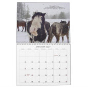 Spanischer Mustang-Kalender Kalender (Jan 2027)