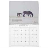 Spanischer Mustang-Kalender Kalender (Feb 2026)