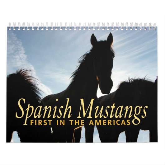 Spanischer Mustang-Kalender Kalender (Titelbild)