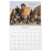 Spanischer Mustang-Kalender Kalender (Mär 2026)