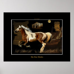 Spanischer Mustang New Worlde Horse Lover Print Poster