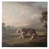 Spanischer Pointer Dog (von George Stubbs) Fliese (Vorderseite)