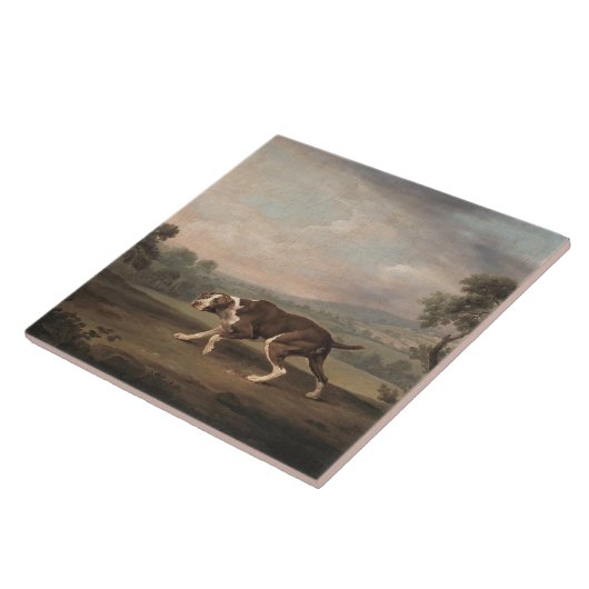 Spanischer Pointer Dog (von George Stubbs) Fliese (Seite)