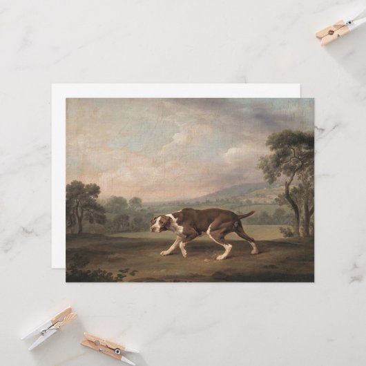 Spanischer Pointer Dog (von George Stubbs) Karte (Vorderseite/Rückseite Beispiel)
