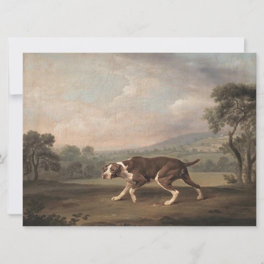 Spanischer Pointer Dog (von George Stubbs) Karte (Vorderseite)