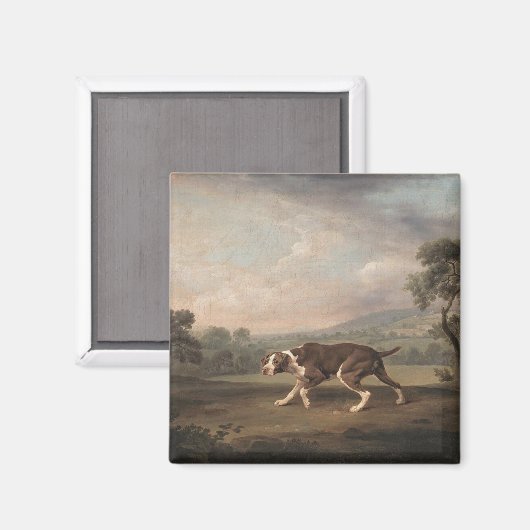 Spanischer Pointer Dog (von George Stubbs) Magnet (Vorderseite/Rückseite)