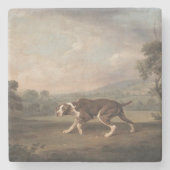 Spanischer Pointer Dog (von George Stubbs) Steinuntersetzer (Vorderseite)