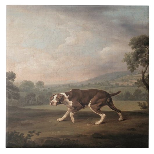 Spanischer Pointer-Hund (von George Stubbs) Fliese (Vorderseite)