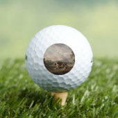 Spanischer Pointerhund (von George Stubbs) Golfball (Insitu T-Shirt)