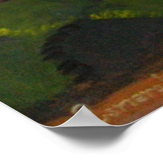 Spanischer Tänzer Poster (Ecke)