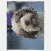SPANISCHER WASSERHUND FLEECEDECKE (Vorderseite)