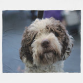 SPANISCHER WASSERHUND FLEECEDECKE (Vorderseite (Horizontal))